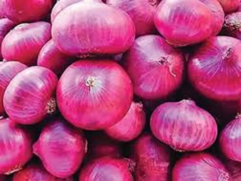 পেঁয়াজ উৎপাদনে স্বয়ংসম্পূর্ণ বাংলাদেশ